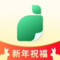 青檸設(shè)計(jì)平臺(tái)app純凈版