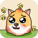 我的狗狗app
