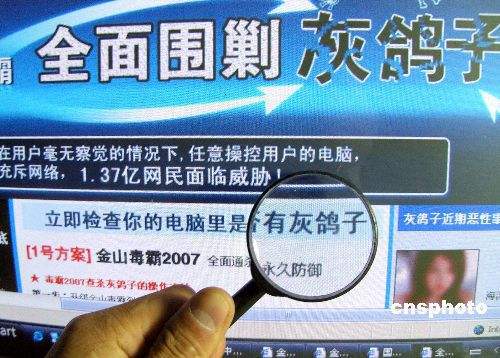當年是誰盜走了你的QQ號，罪魁禍首多半就是灰鴿子和冰河