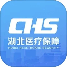 湖北智慧醫保