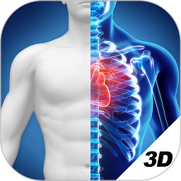 3D人體解剖圖譜