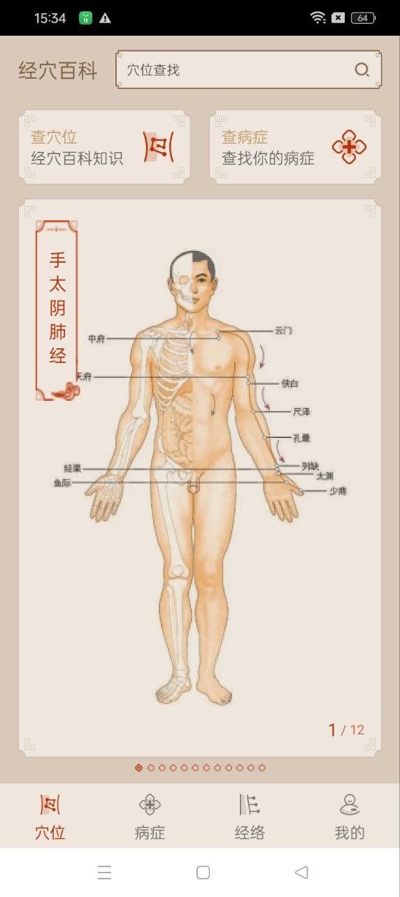 經絡圖解app下載安裝