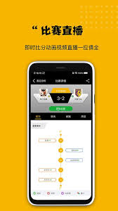 看球大師