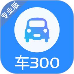 車300專業版