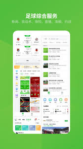 綠茵場最新版