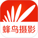 蜂鳥攝影
