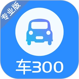 車300專業