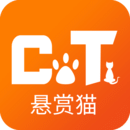 懸賞貓