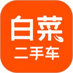 白菜二手車