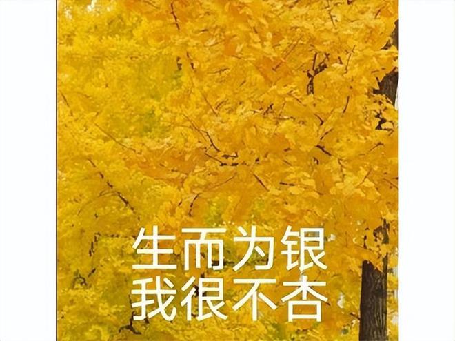 《NIKKE》新合作上線，玩家反響冷淡？AI繪畫技術存疑且色彩不足