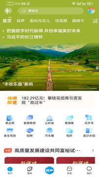 攀枝花開