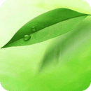 中醫(yī)執(zhí)業(yè)醫(yī)師app