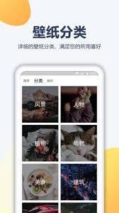 pptv聚力改成什么名字了