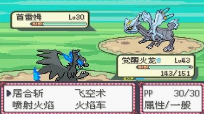 獨闖寵物戰場：無需伙伴的精彩回合手游推薦
