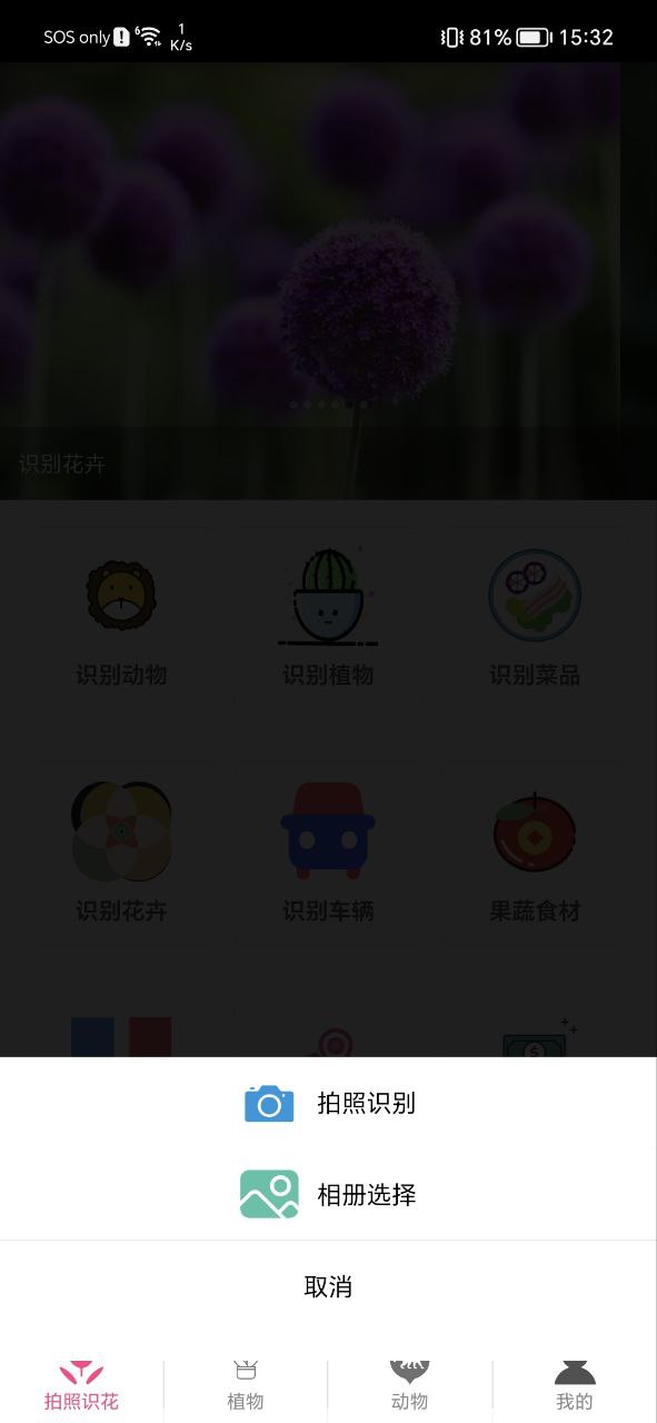 拍照識(shí)花神器收費(fèi)嗎