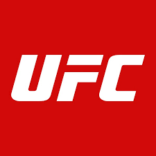 實(shí)時(shí)體驗(yàn)！十大UFC賽事直播平臺推薦