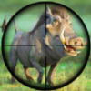 獵豬射擊Pig Hunting Shooting Game