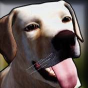 狗舍模擬器3DDog Shelter 3D