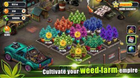 閑置雜草農場Idle Weed Farm