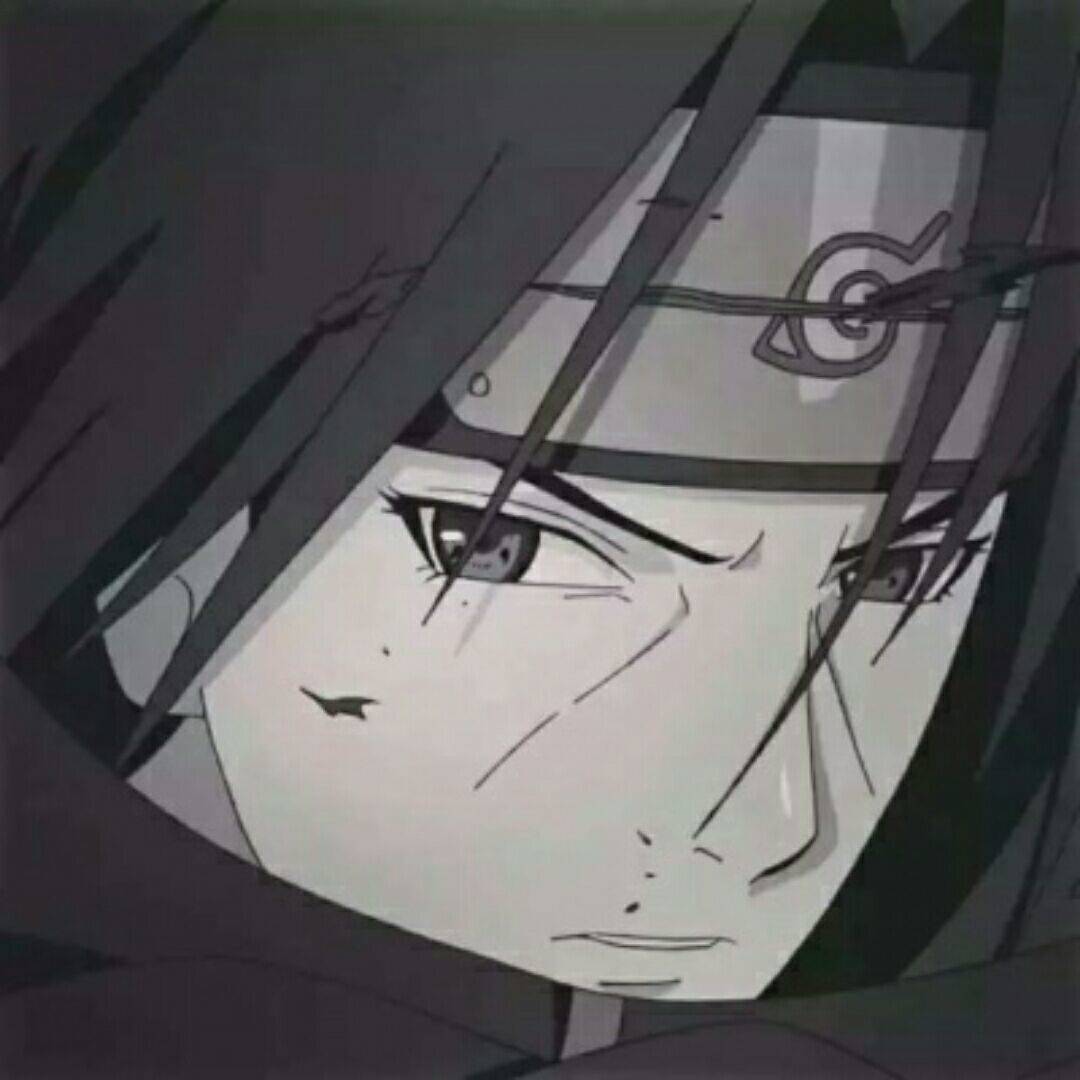 天騏游戲解說我的世界最后戰線手機版