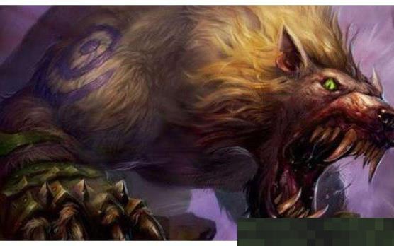 魔獸世界懷舊服：TBC P4野德(熊貓)大型PVE攻略