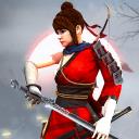 忍者戰士武士游戲