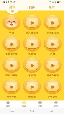 動物翻譯器