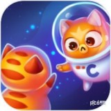 空間貓的演變